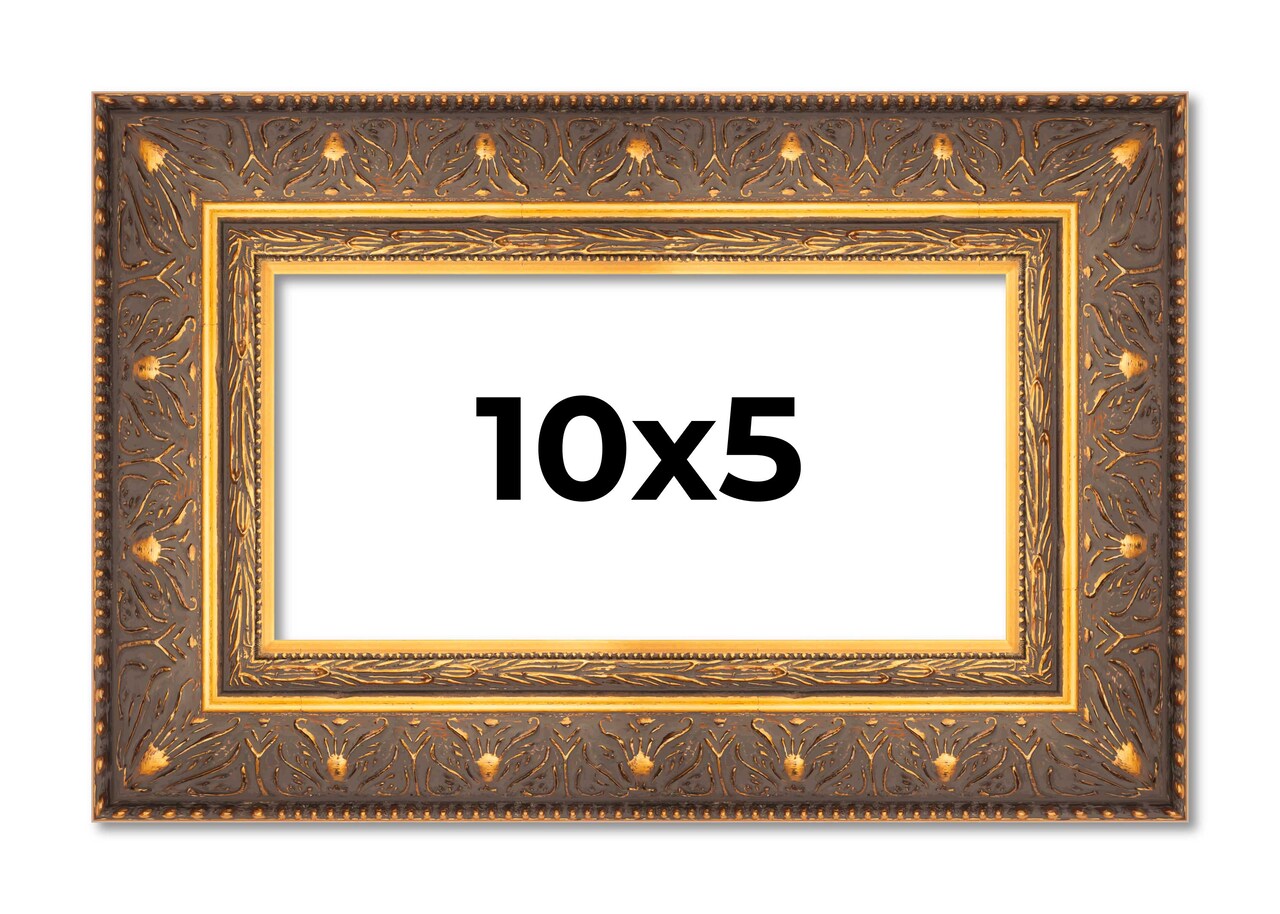 Panoramic Museum Gold Picture Frame - UV Acrylic, Foam Board Backing, Hanging Hardware